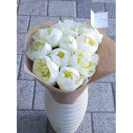 Buchet 11 Bujori Albi BP6